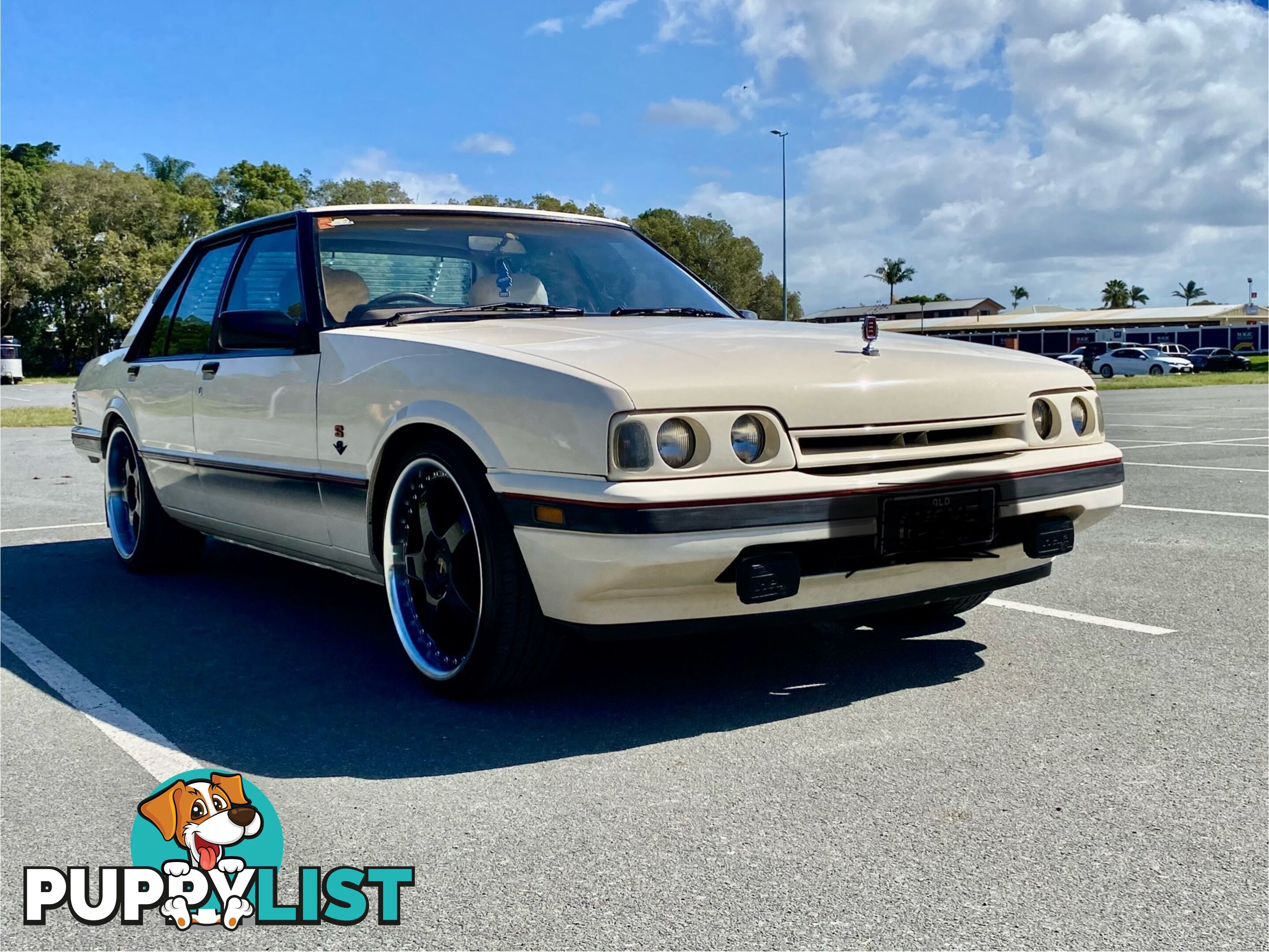 1986 Ford Falcon UNSPECIFIED V8 Sedan Manual