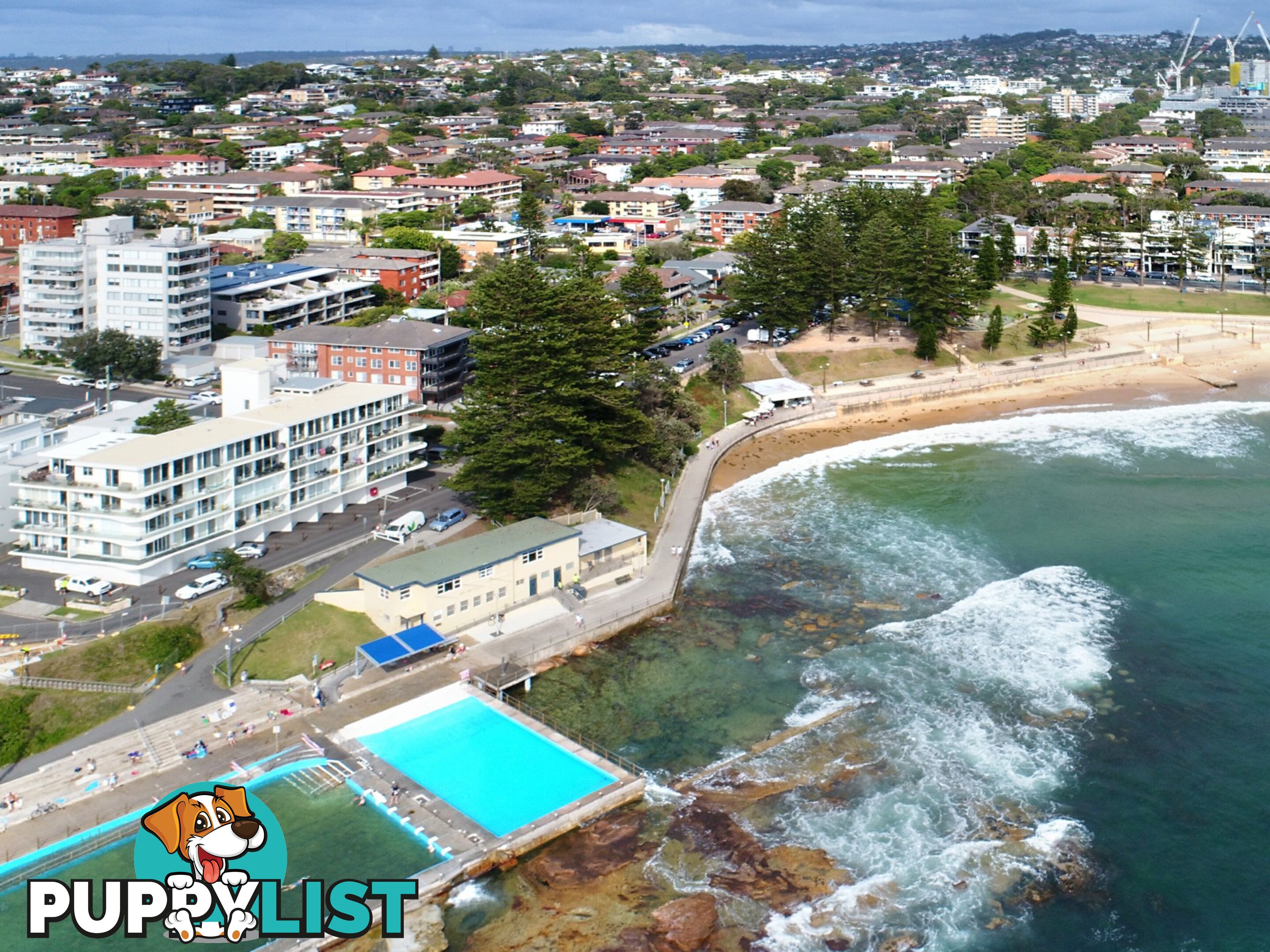 2/38 Pacific Parade DEE WHY NSW 2099