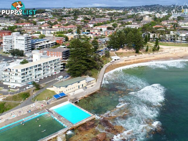 2/38 Pacific Parade DEE WHY NSW 2099