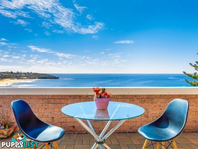 3/4 Coastview Place FRESHWATER NSW 2096