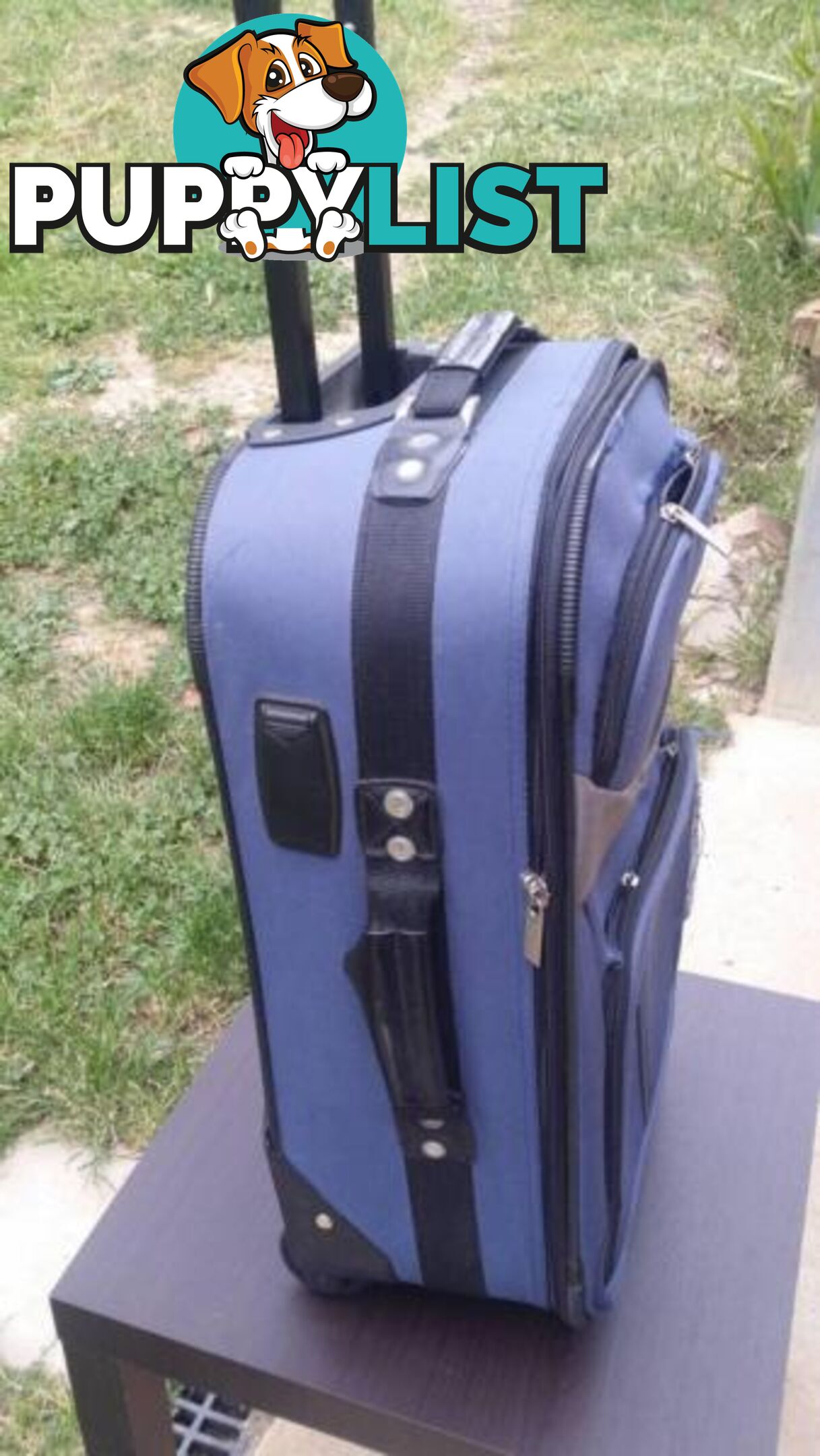 Blue Carry on Luggage