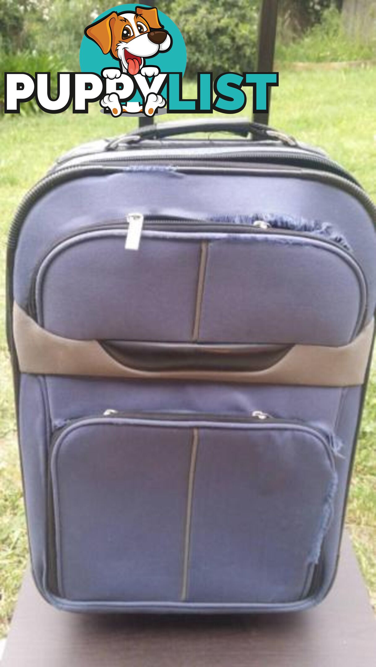 Blue Carry on Luggage