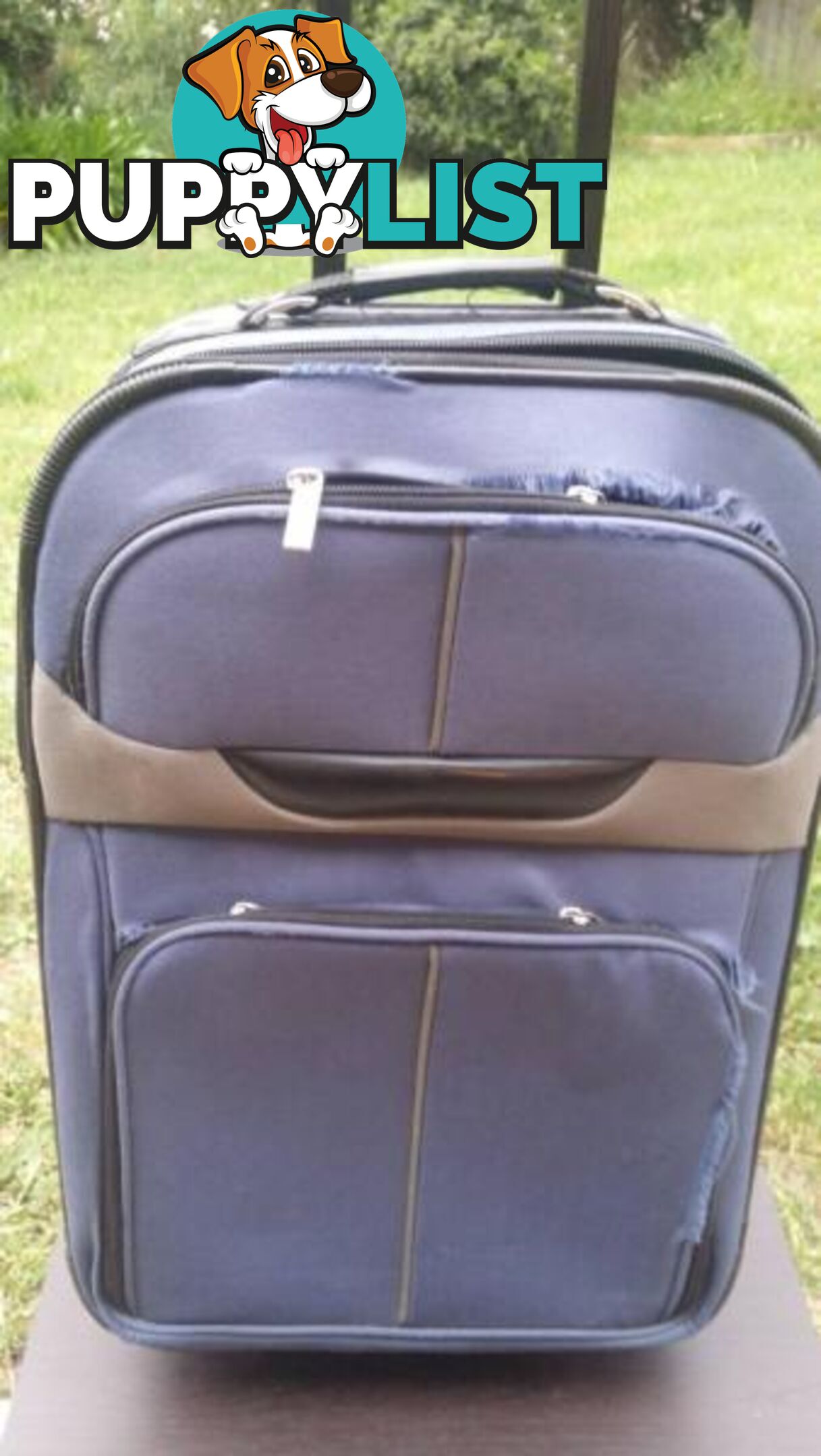 Blue Carry on Luggage