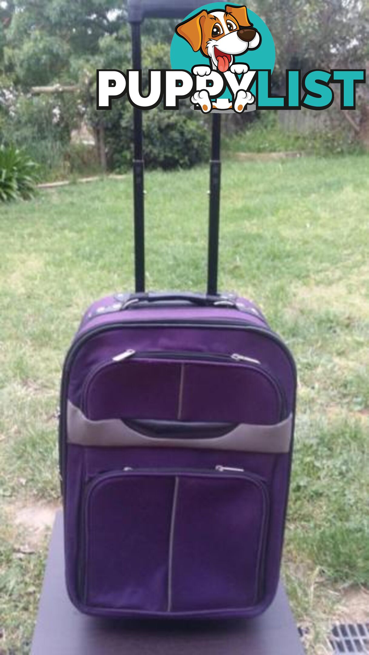 Purple Cabin Luggage