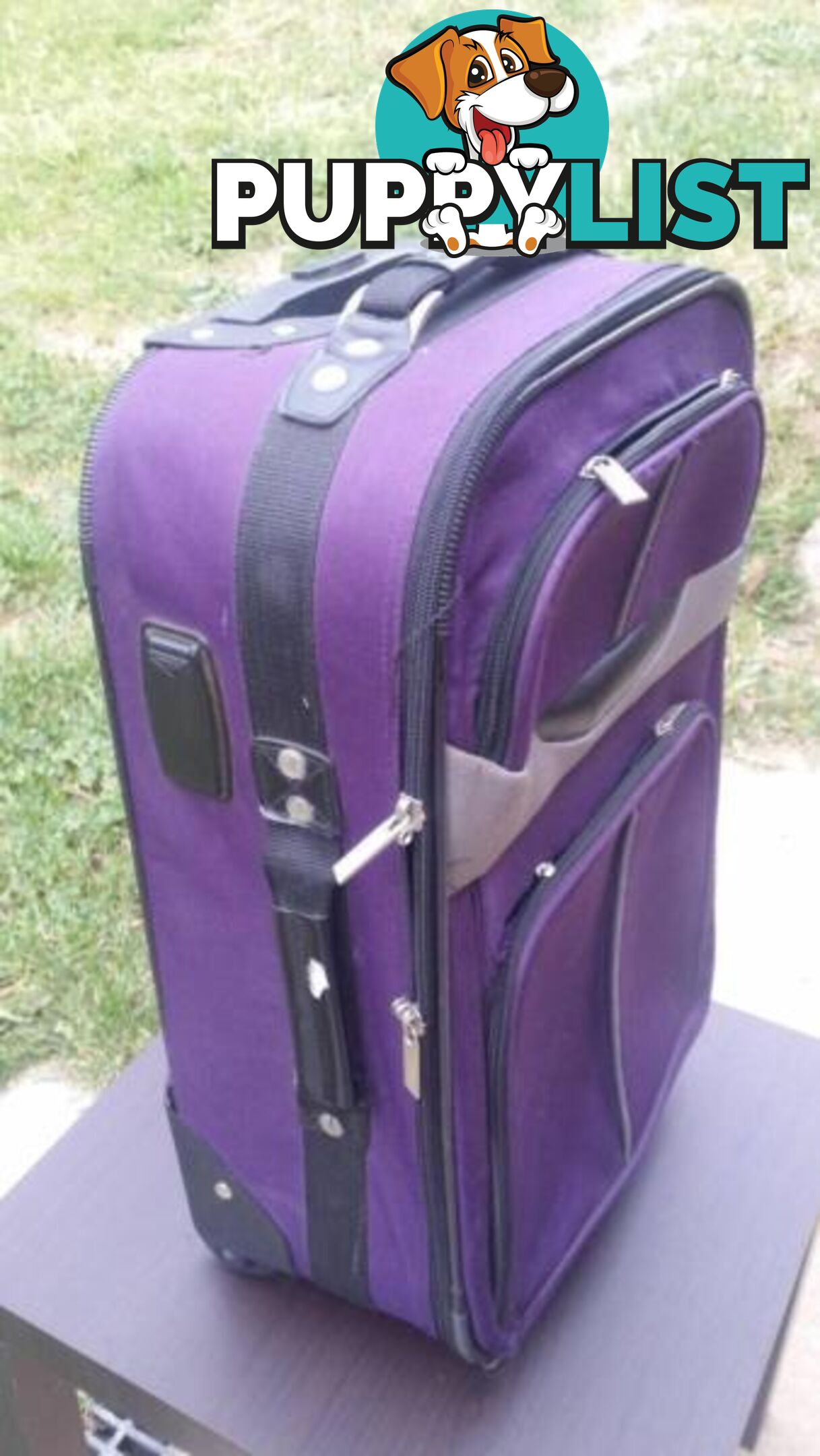 Purple Cabin Luggage