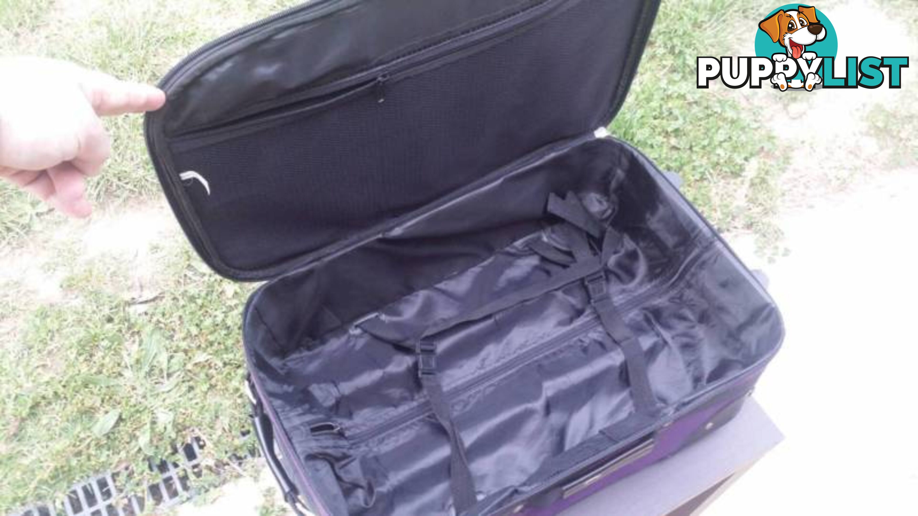 Purple Cabin Luggage