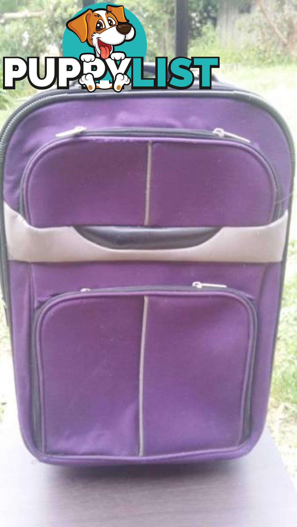 Purple Cabin Luggage