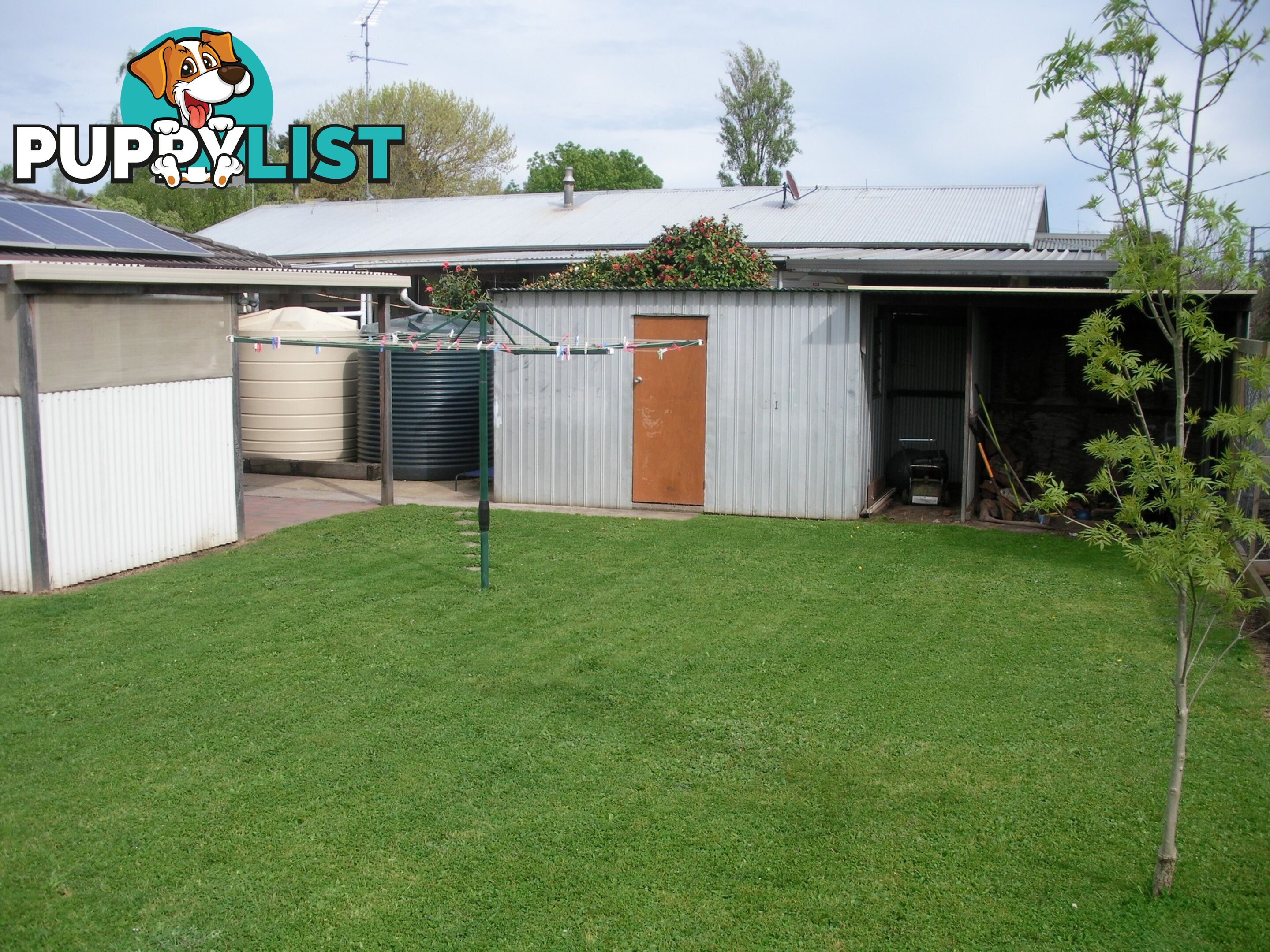 34 Tolmie Street MOUNT GAMBIER SA 5290