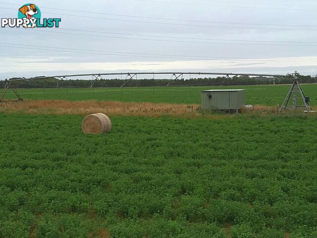 Clover Estate Rd Leech Rd & Red Hill Rd MINGBOOL SA 5291