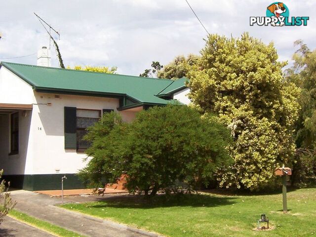 14 Tallara Avenue MOUNT GAMBIER SA 5290