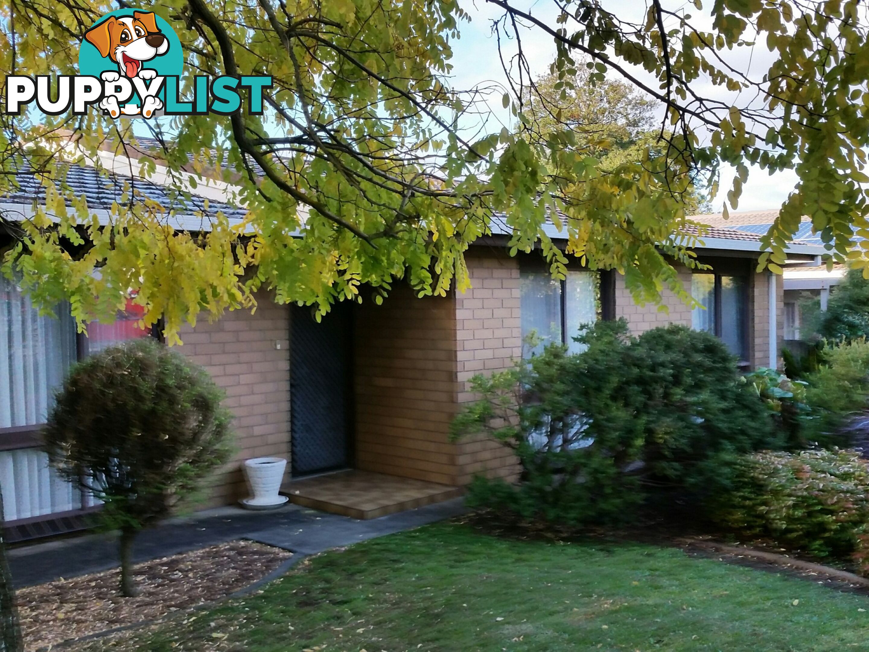 5 1A Hart Street MOUNT GAMBIER SA 5290