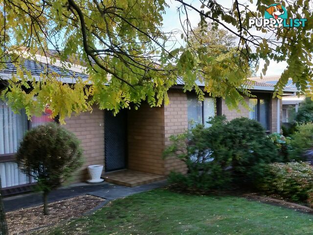 5 1A Hart Street MOUNT GAMBIER SA 5290