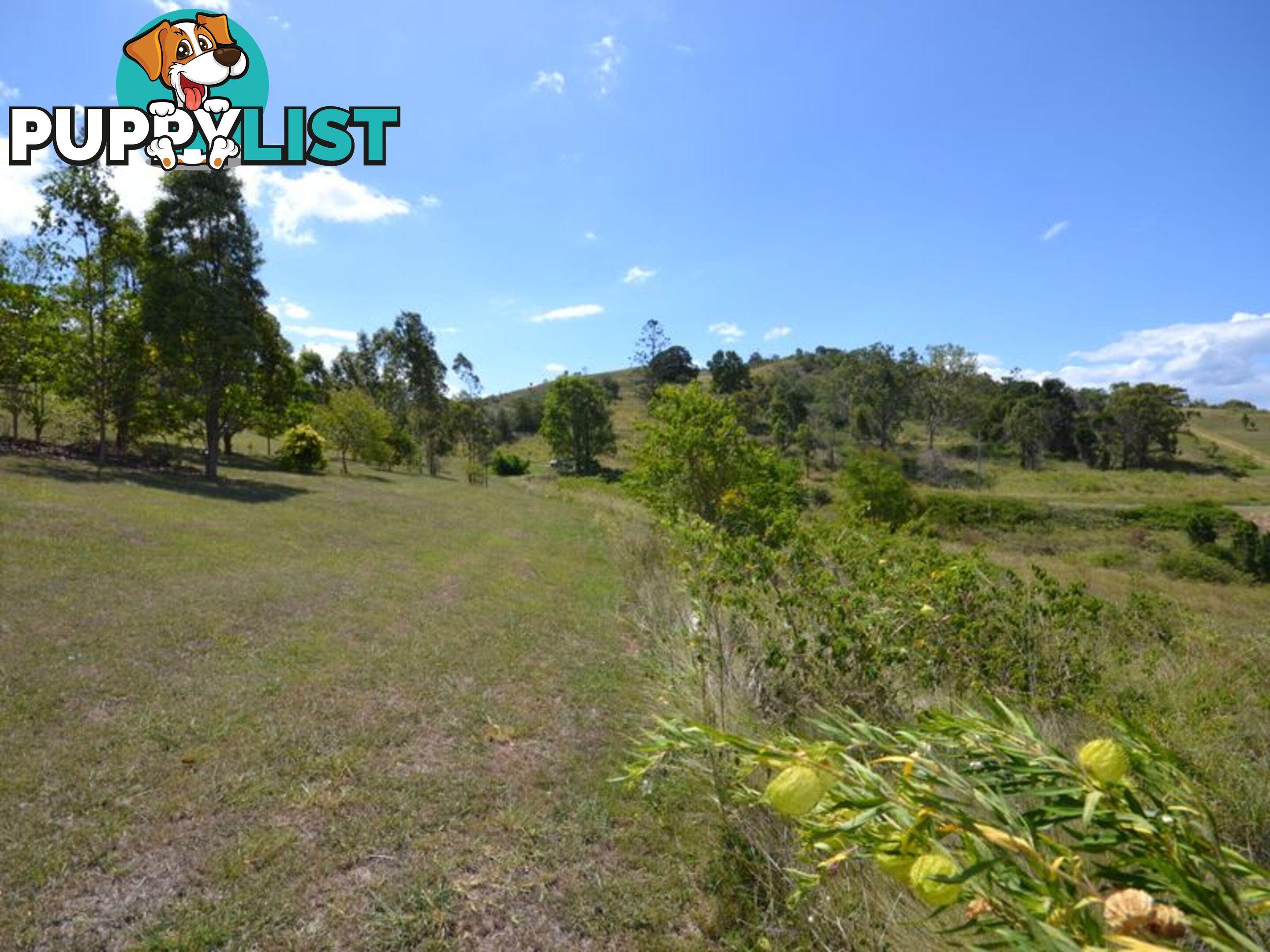 Lot 14 Billy Green Drive VILLENEUVE QLD 4514