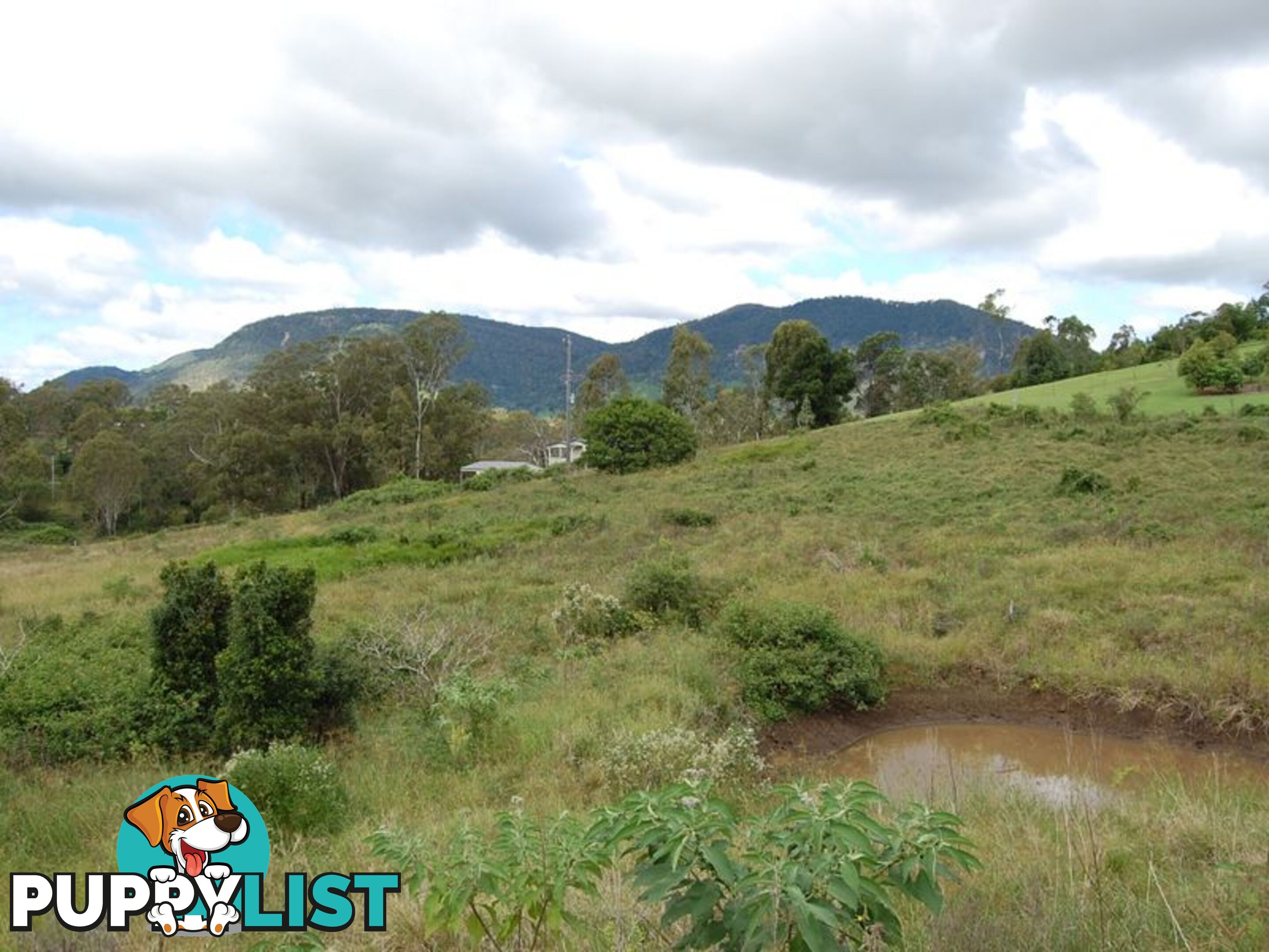 Lot 14 Billy Green Drive VILLENEUVE QLD 4514