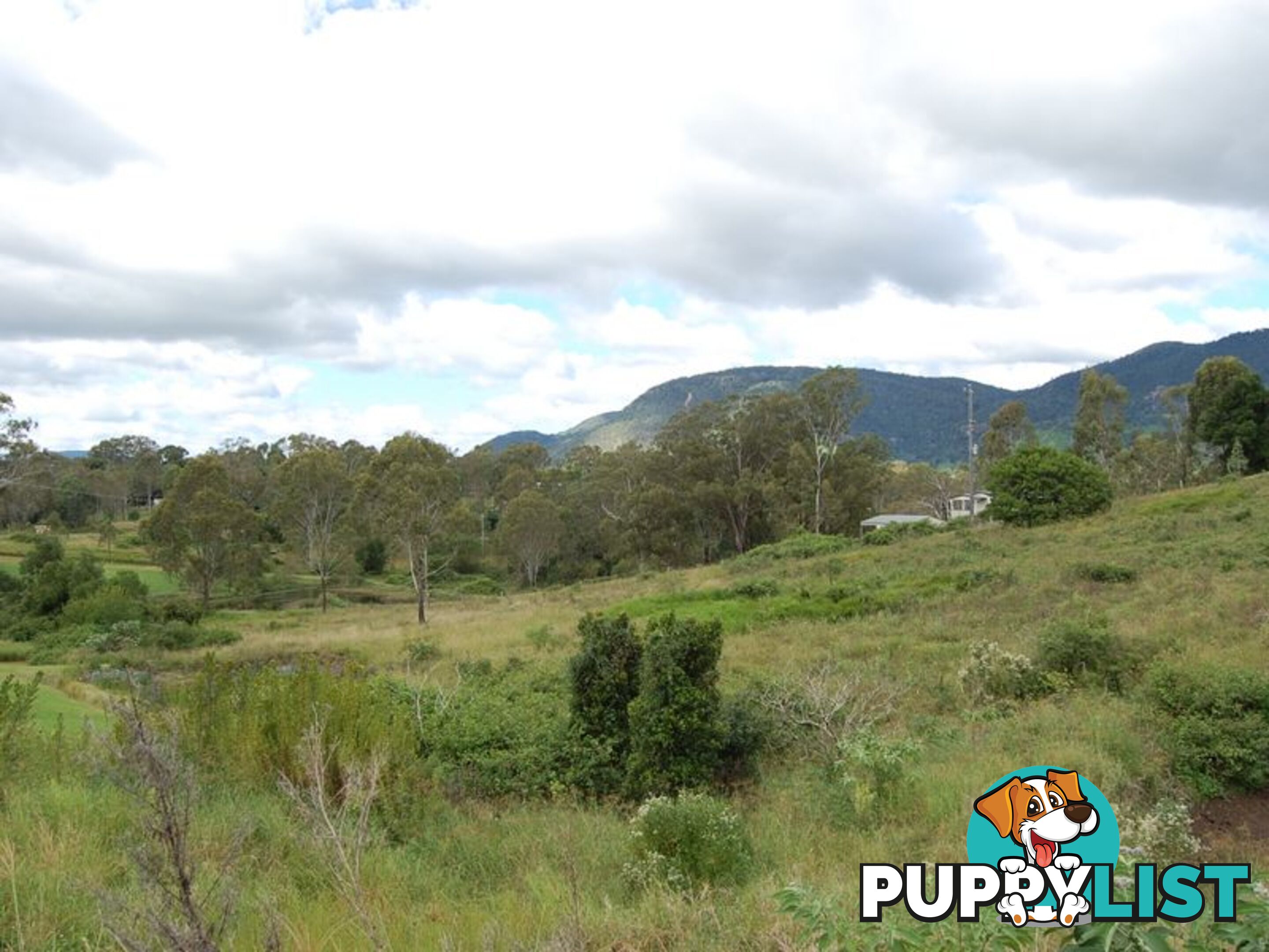 Lot 14 Billy Green Drive VILLENEUVE QLD 4514