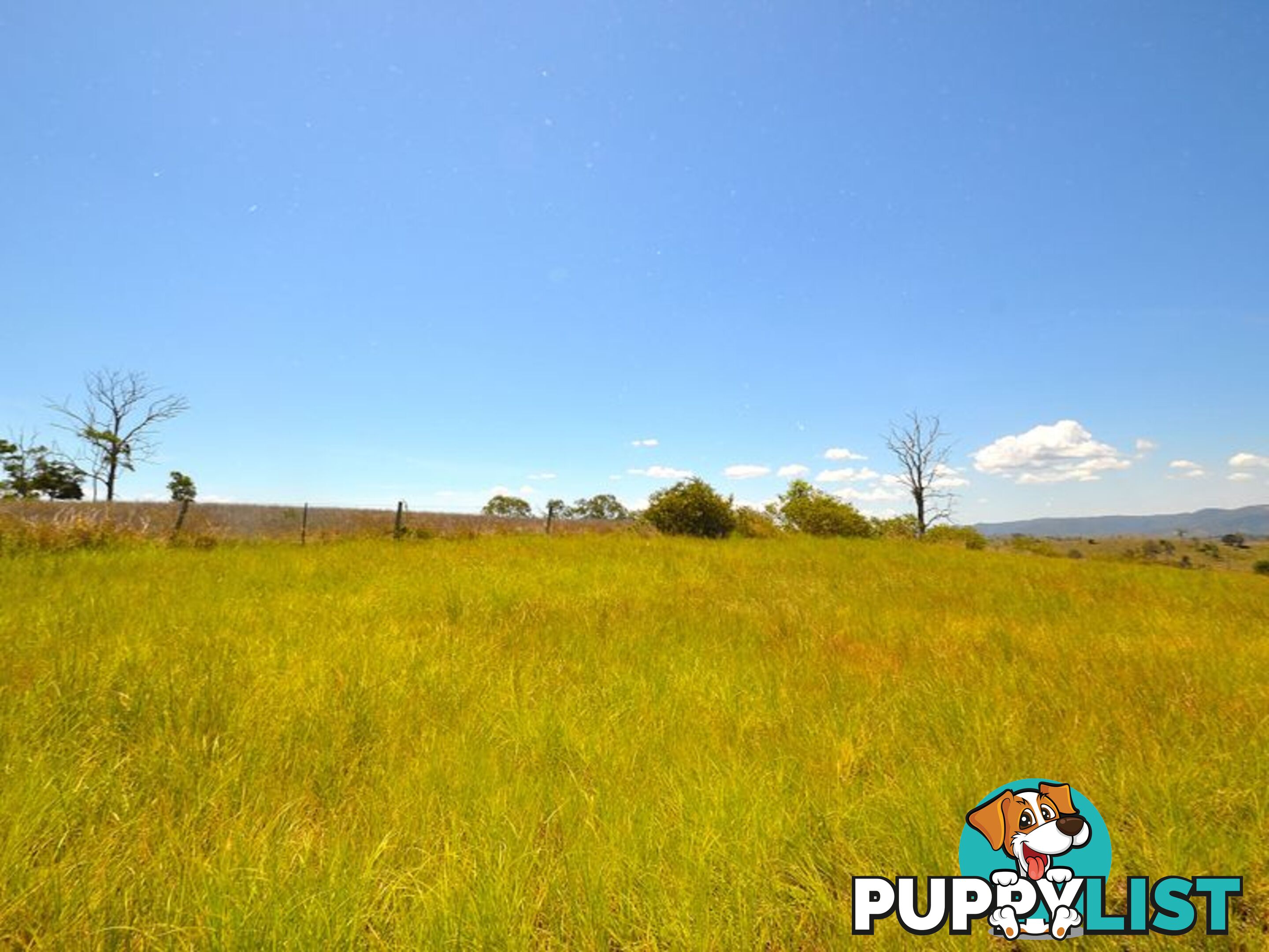 61 New Country Creek Road KILCOY QLD 4515