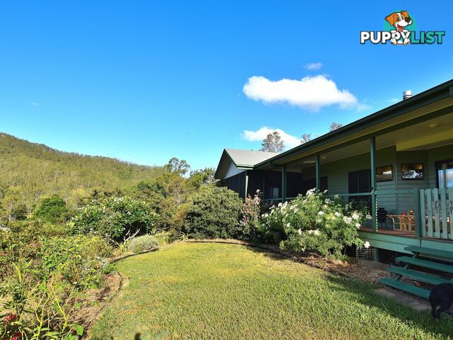 515 Mary Smokes Creek Road SANDY CREEK QLD 4515