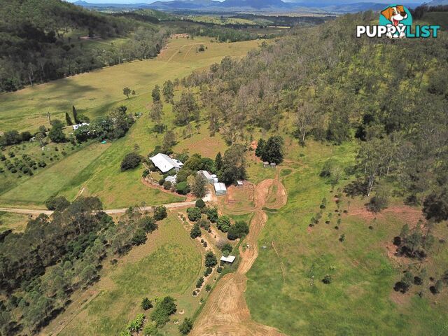 515 Mary Smokes Creek Road SANDY CREEK QLD 4515