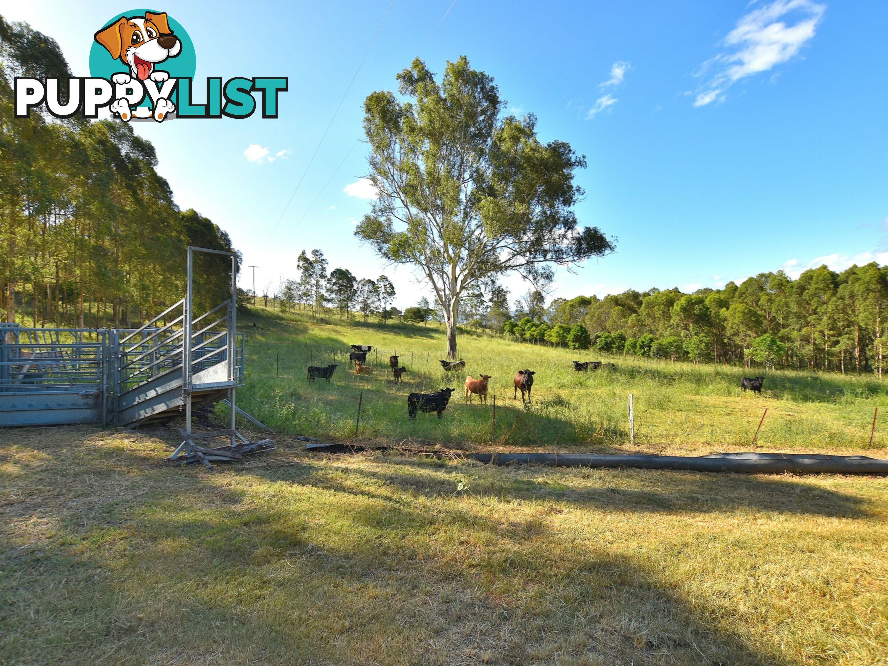 515 Mary Smokes Creek Road SANDY CREEK QLD 4515