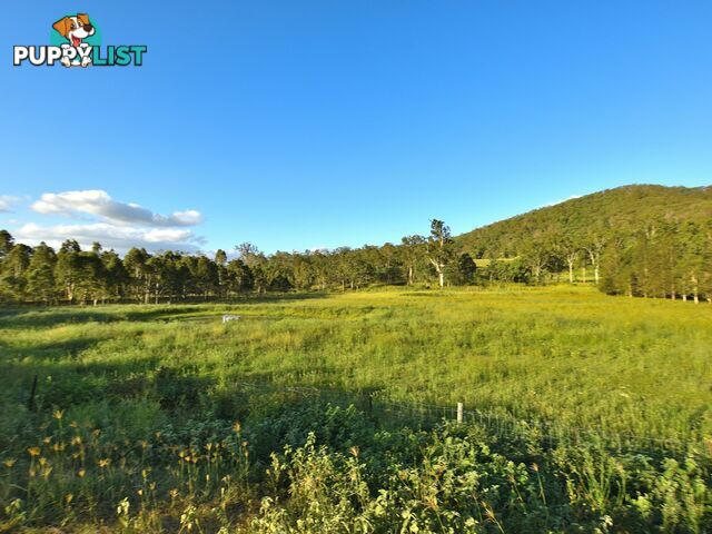 515 Mary Smokes Creek Road SANDY CREEK QLD 4515