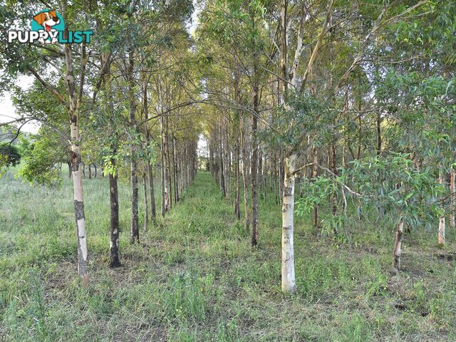 515 Mary Smokes Creek Road SANDY CREEK QLD 4515