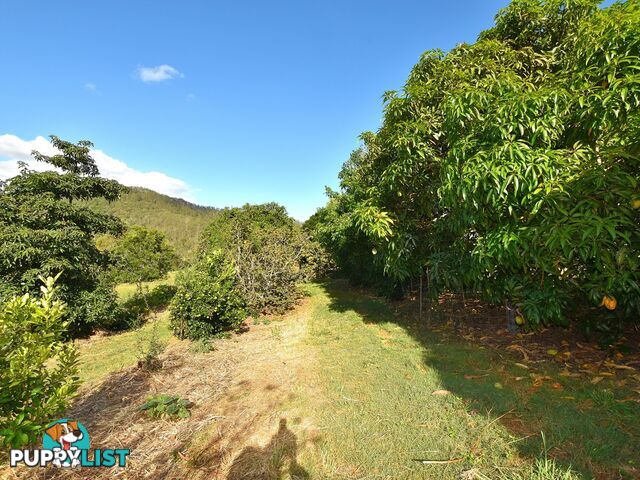 515 Mary Smokes Creek Road SANDY CREEK QLD 4515