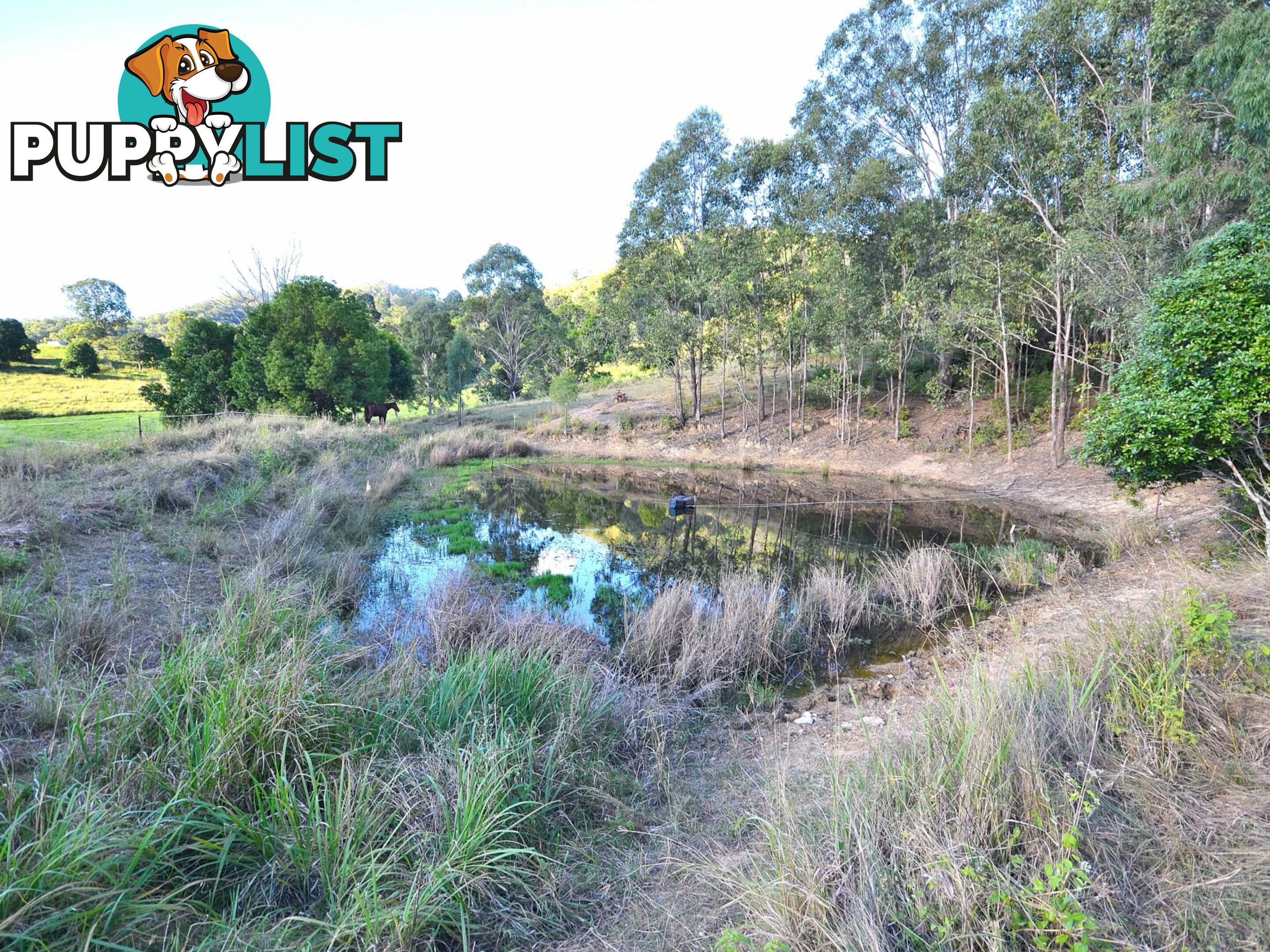 374 Mt Kilcoy Road MOUNT KILCOY QLD 4515