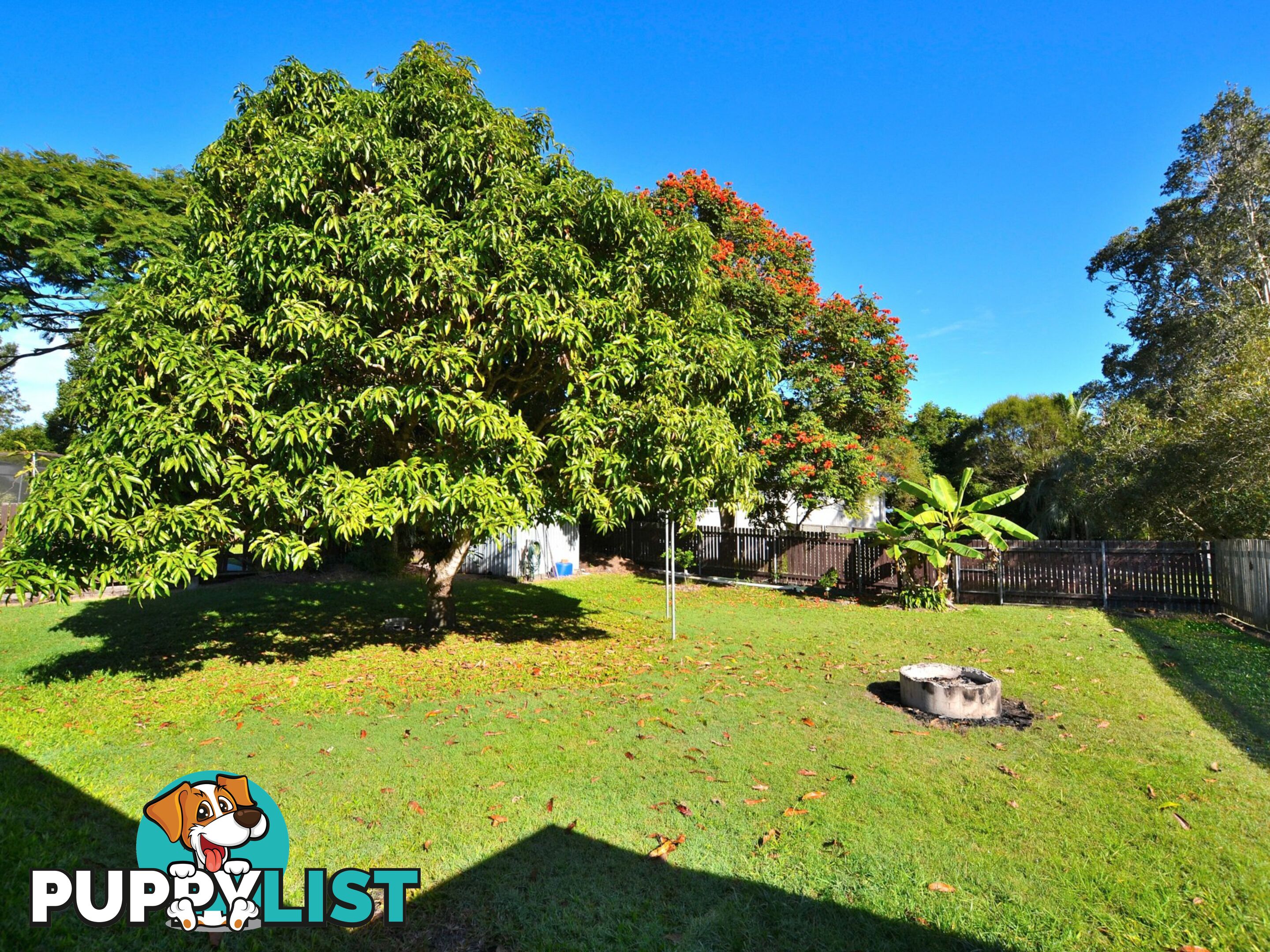 8 Daybell Street WOODFORD QLD 4514