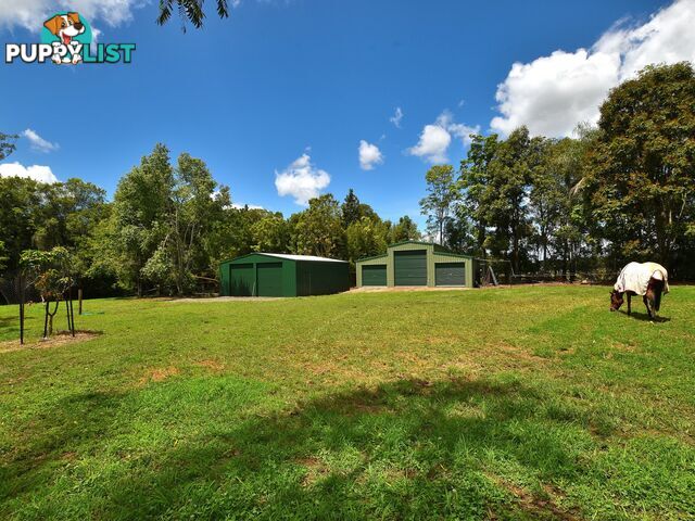 55 Commissioners Flat Road CEDARTON QLD 4514