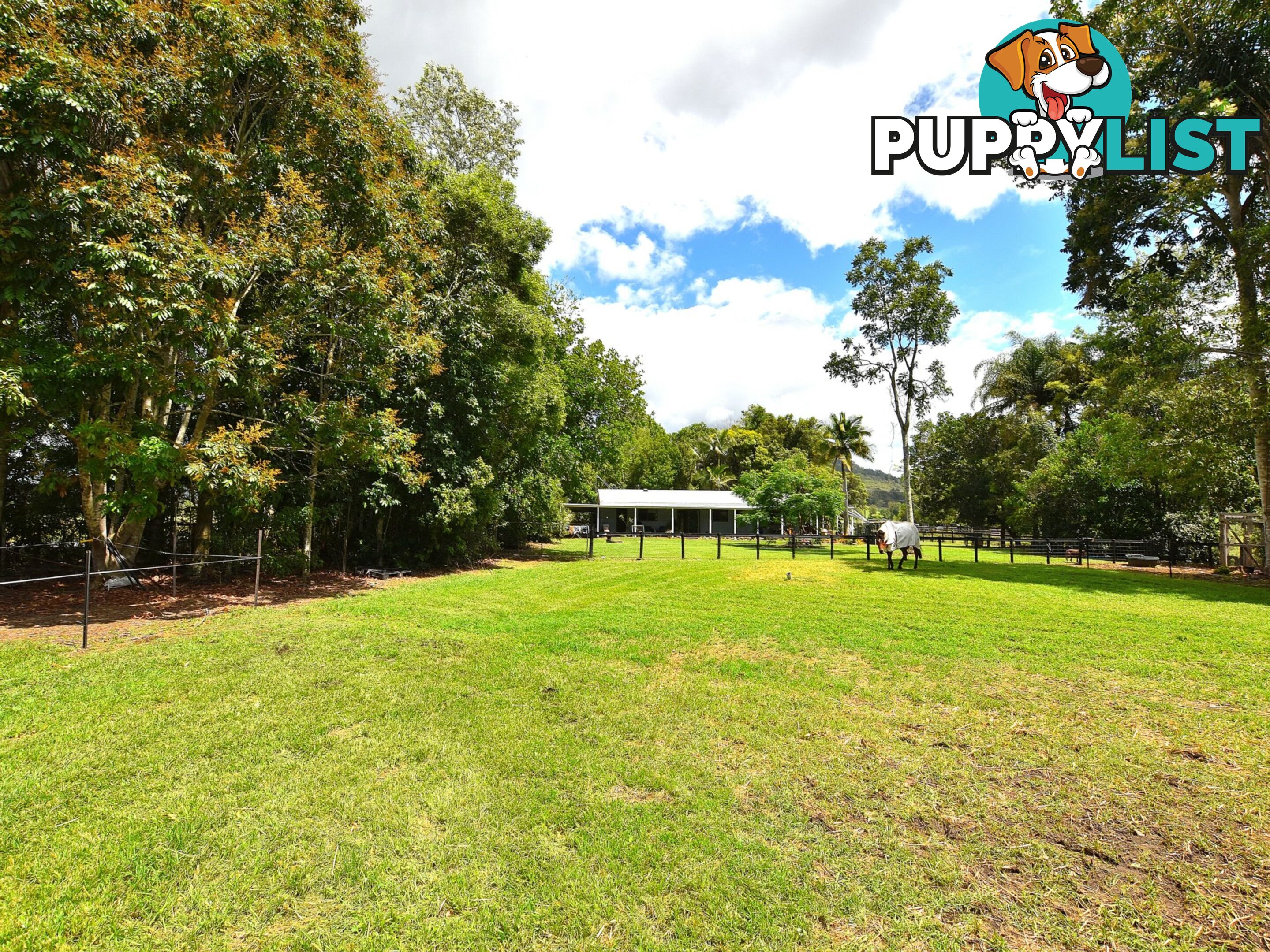 55 Commissioners Flat Road CEDARTON QLD 4514