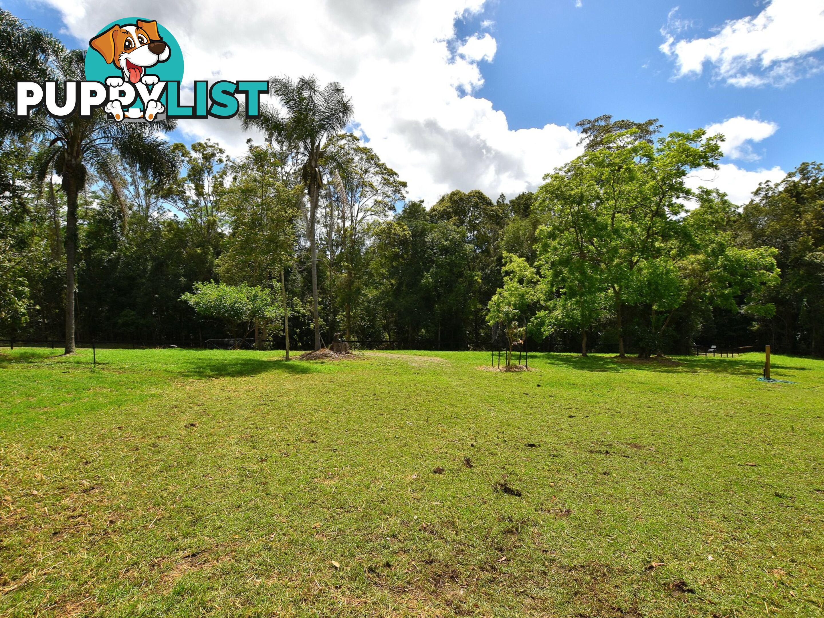 55 Commissioners Flat Road CEDARTON QLD 4514