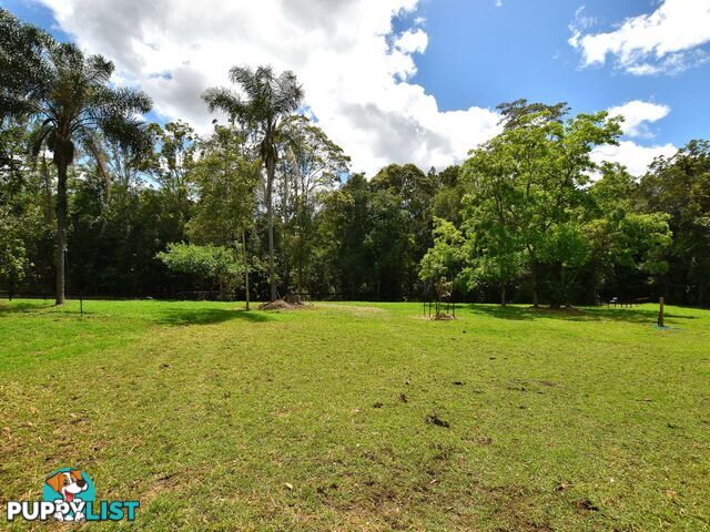 55 Commissioners Flat Road CEDARTON QLD 4514