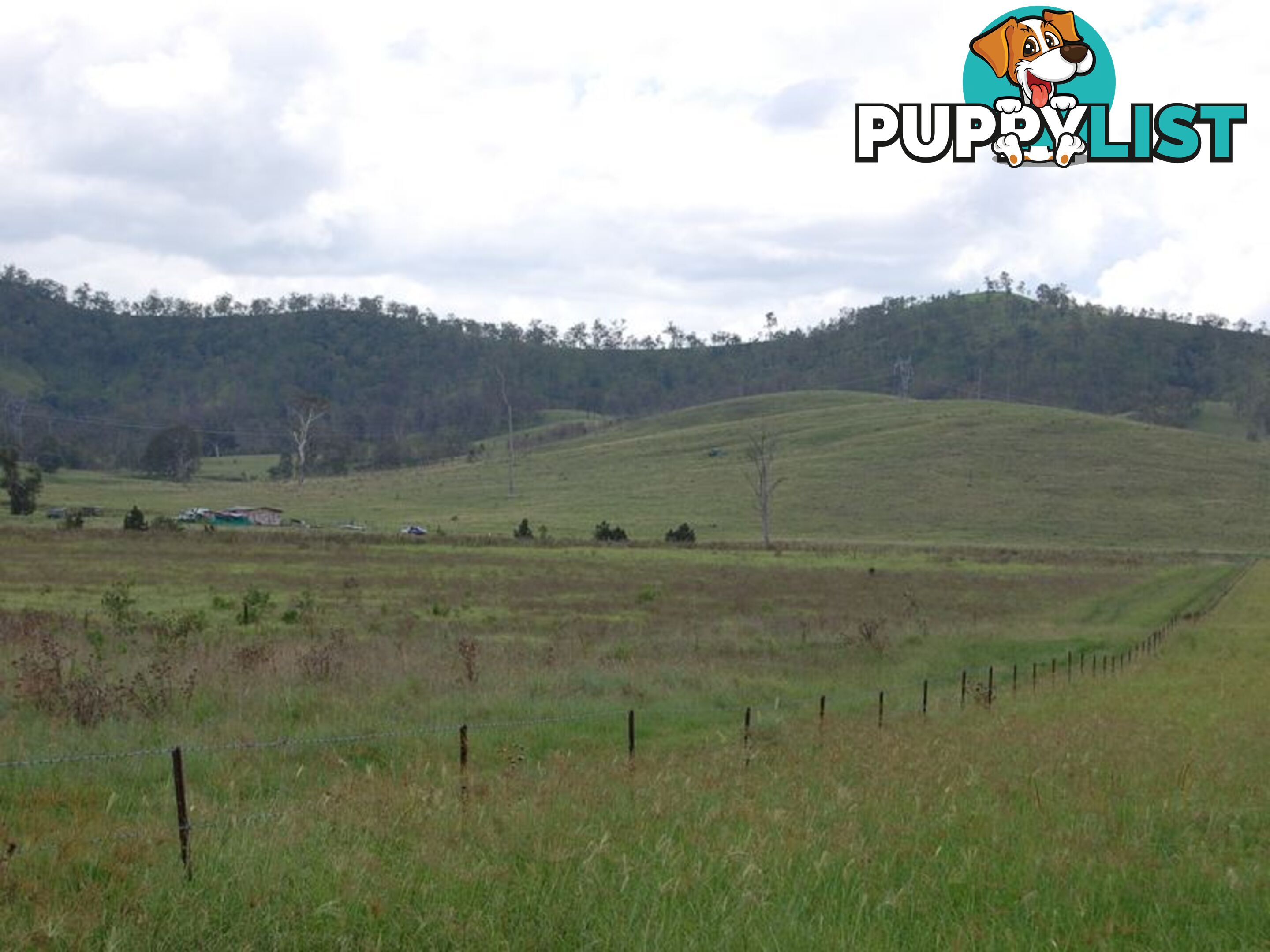 Lot 15 Spring Creek Road HARLIN QLD 4306