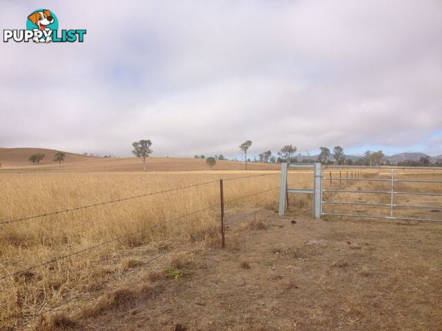 Lot 15 Spring Creek Road HARLIN QLD 4306