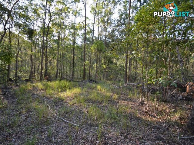 299 Fletchers Road STONY CREEK QLD 4514