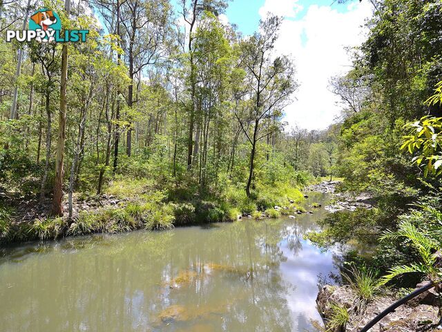 299 Fletchers Road STONY CREEK QLD 4514