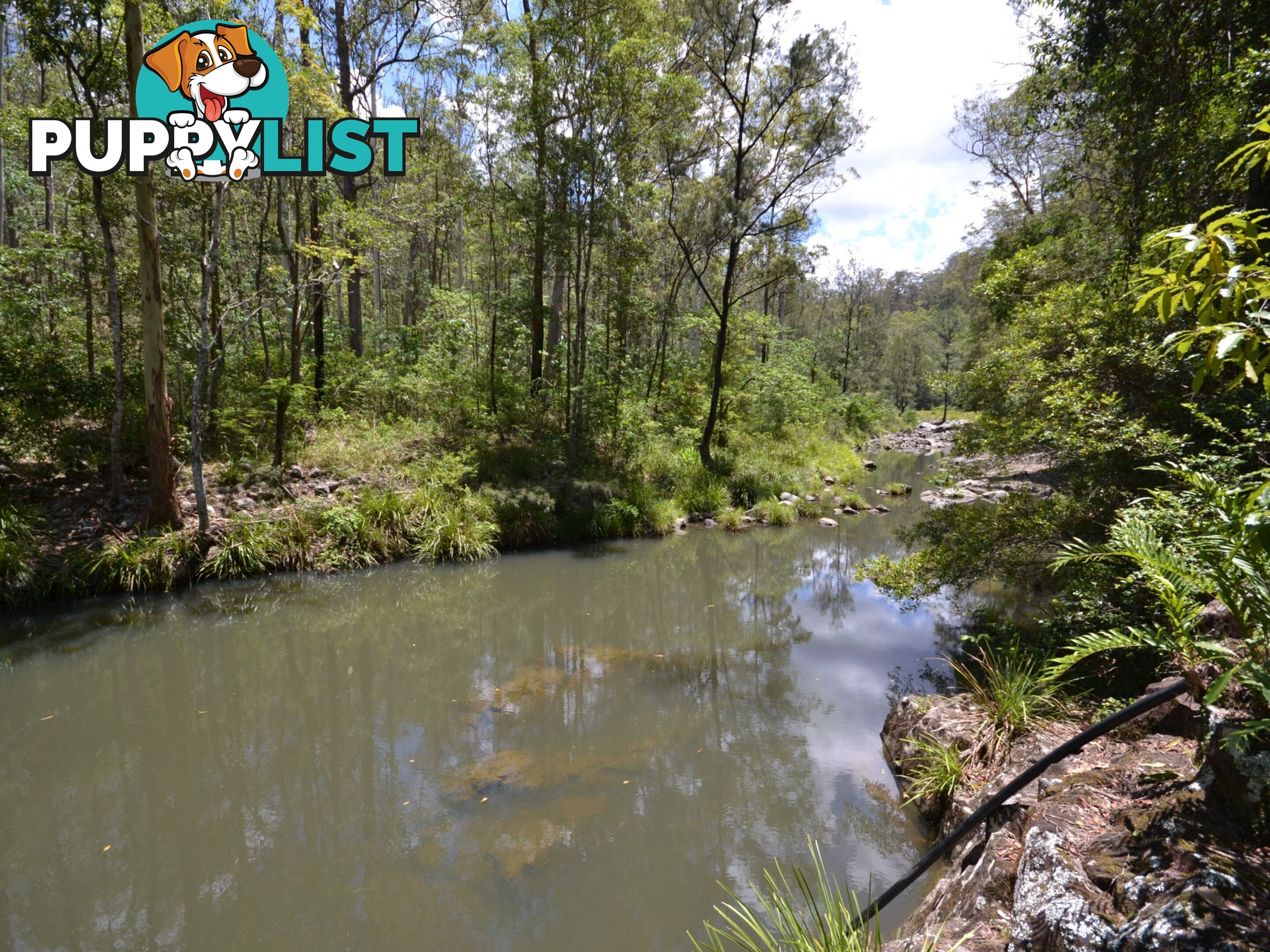 299 Fletchers Road STONY CREEK QLD 4514