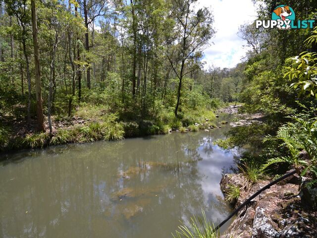 299 Fletchers Road STONY CREEK QLD 4514