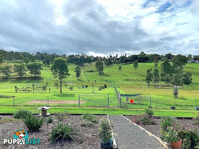 49 Jayen Drive ROYSTON QLD 4515