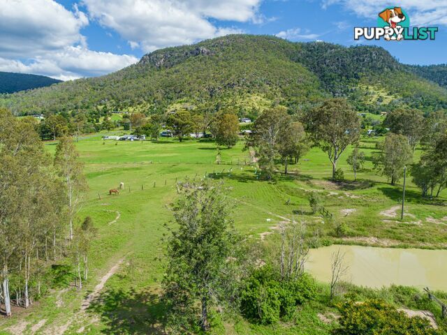 1405 Neurum Road MOUNT ARCHER QLD 4514