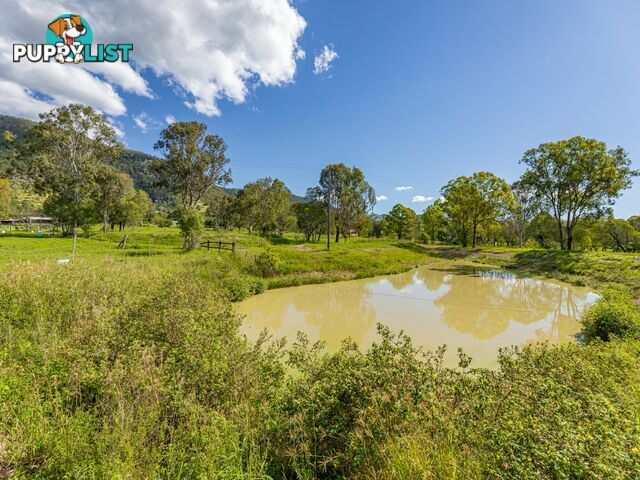 1405 Neurum Road MOUNT ARCHER QLD 4514