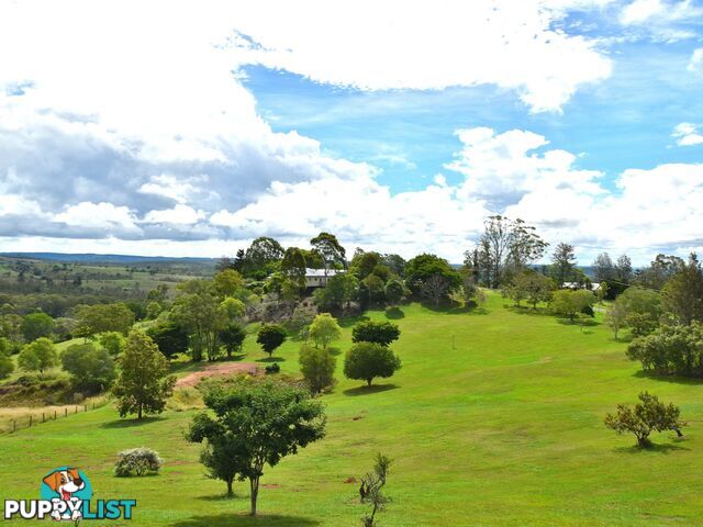 133 Greenhills Drive BLACKBUTT QLD 4314