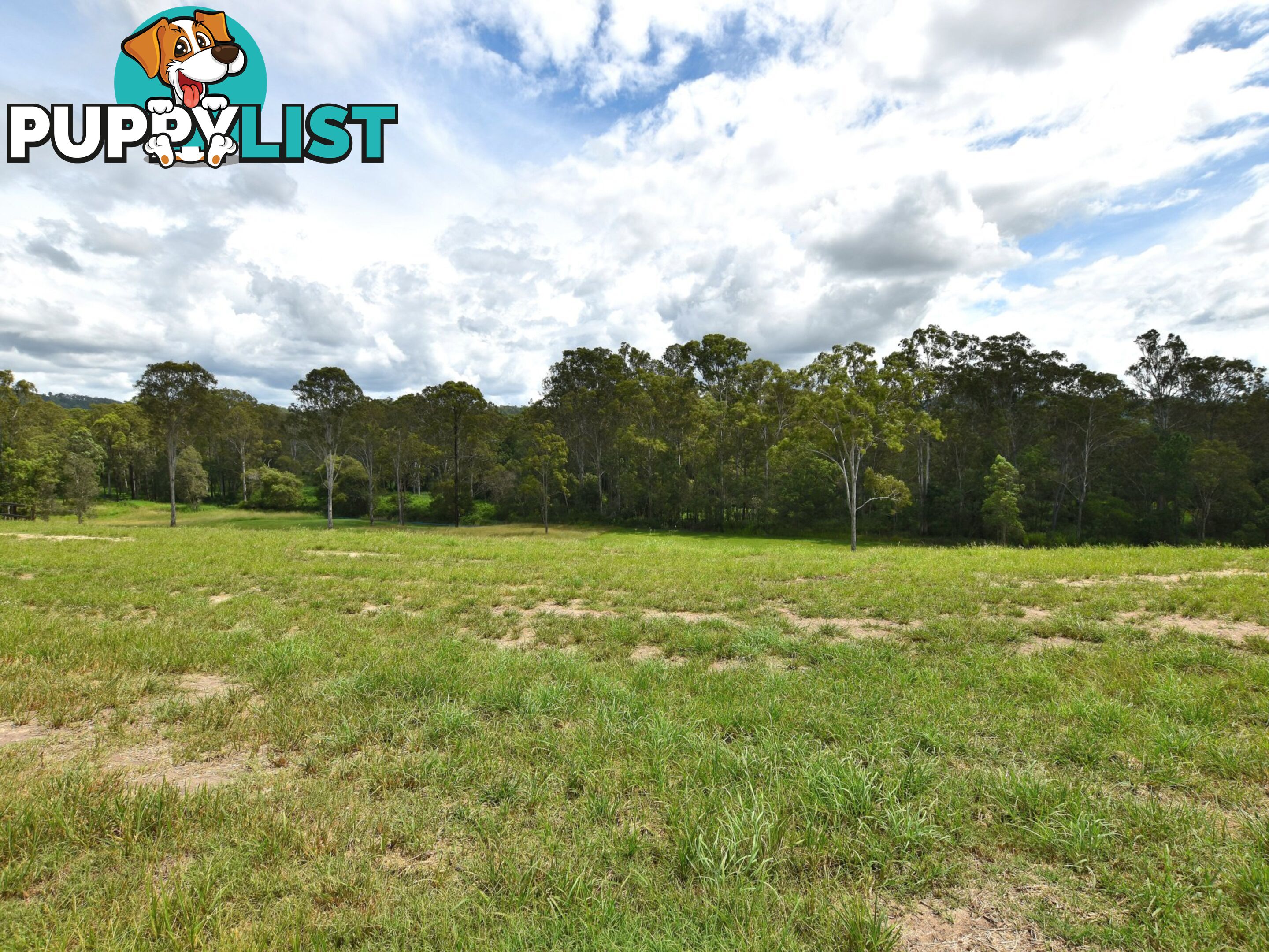 78 Currajong Circuit DELANEYS CREEK QLD 4514