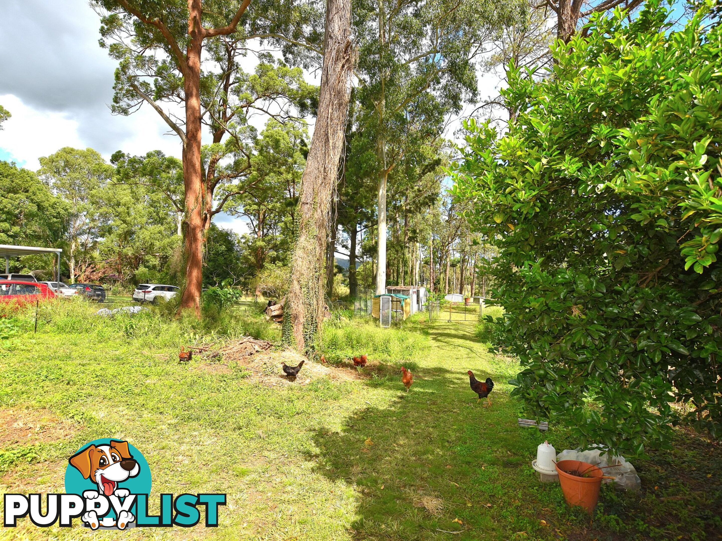 62 Archer Street WOODFORD QLD 4514