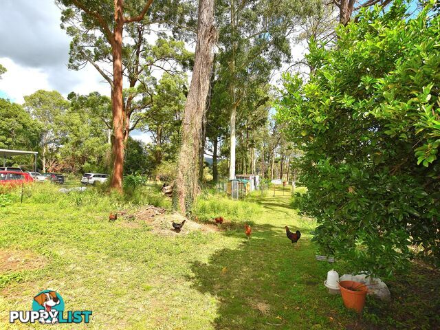 62 Archer Street WOODFORD QLD 4514