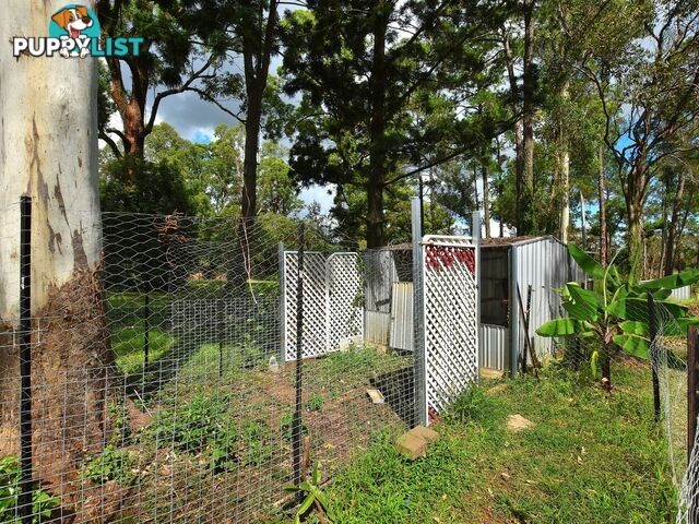 62 Archer Street WOODFORD QLD 4514