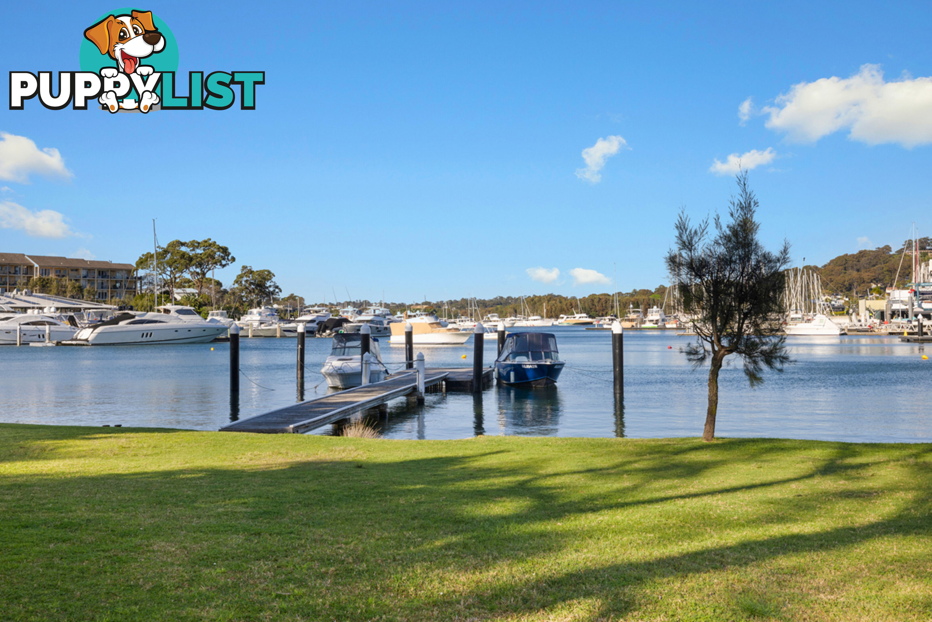 79 Irrubel Road NEWPORT NSW 2106