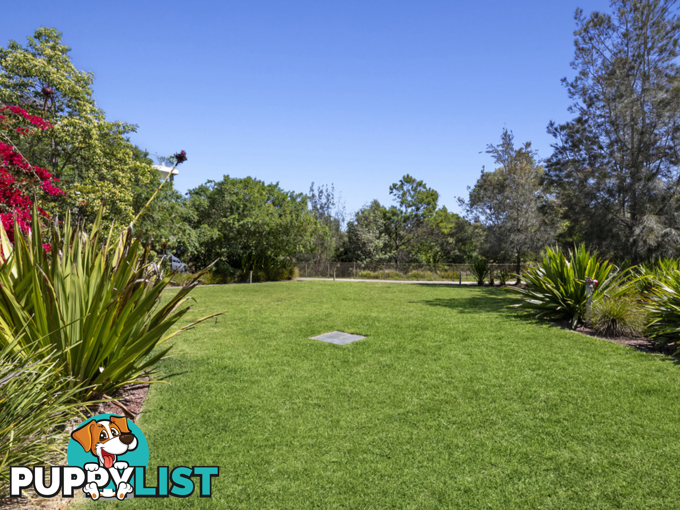233/6 Firetail Drive WARRIEWOOD NSW 2102