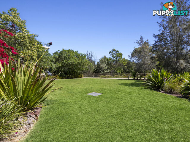 233/6 Firetail Drive WARRIEWOOD NSW 2102