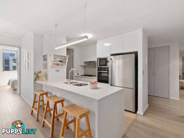 233/6 Firetail Drive WARRIEWOOD NSW 2102